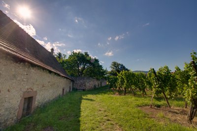 Maison avec vue sur les pieds des vignes_4904247373_l.jpg
